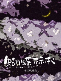 蝴蝶标本蝴蝶标本